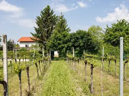 Pfaffstätten, BADEN: Baugrundstück in Grünruhelage direkt an den Weingärten