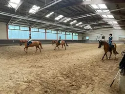 Reithalle / Pferdeboxen und ca. 4.500m² Grund