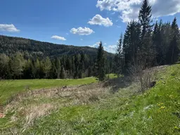 Traumhaftes Baugrundstück im Herzen des Lachtals – nur 2 Minuten vom Ski- udn Wandergebiet entfernt! Zweitwohnsitzwidmung!