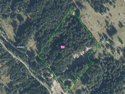 GEPFLEGTER WALD IN KANING ZU VERKAUFEN