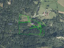 WALDGRUNDSTÜCKE AM LAUFENBERG ZU VERKAUFEN