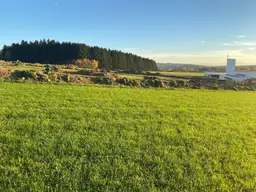 Baugrundstück Grünbach bei Freistadt