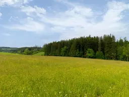 Landwirtschaftliche Flächen