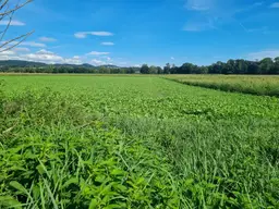 Grundstück im Grünland: Nachhaltige Möglichkeiten für ertragreichen Anbau