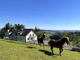 Wohntraum mit Pferdestall und Obstbaumwiesen
