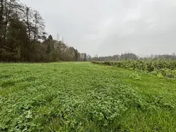 Landwirtschaftliche Fläche mit Waldanteil und guter Erreichbarkeit