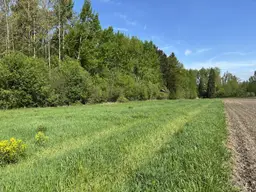 Landwirtschaftliche Fläche mit Waldanteil und guter Erreichbarkeit