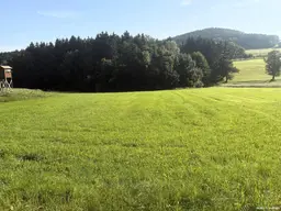 Wald- und landwirtschaftliche Nutzflächen