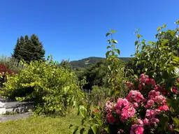 Exklusive Lage mit Dambergpanorama