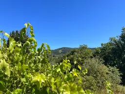 Exklusive Lage mit Dambergpanorama