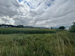 Landwirtschaftliche Nutzflächen - ca. 5,5 ha