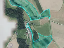 Landwirtschaftliche Flächen, Wald