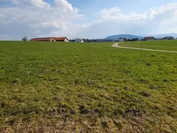 NEUER PREIS - LW Nutzgrund ca. 2,5 ha - Flachgauer Landesgrenze