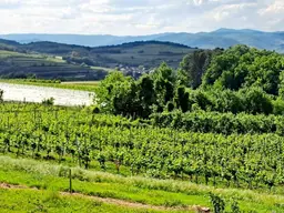 UNVERGLEICHBARER AUSBLICK