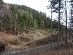 GUT ERSCHLOSSENER WALD, ZUR NACHHALTIGEN NUTZUNG UND ANLAGEZWECKEN!