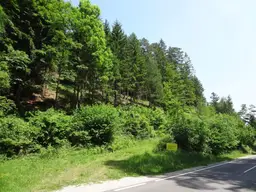 GUT ERSCHLOSSENER WALD, ZUR NACHHALTIGEN NUTZUNG UND ANLAGEZWECKEN!