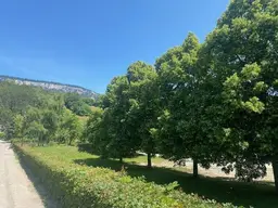 Gut geschnittenes Baugrundstück! Kein Bauzwang, sichere Anlage!