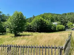 Mehr als 5000m² Grund! Wo sich Fuchs und Hase "gute Nacht" sagen!