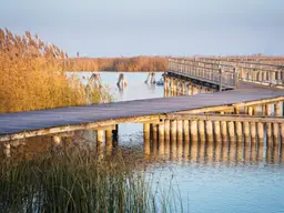 "The Lagoon" - Modern - Nachhaltig - Elegant
