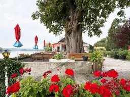 Landmotel und Restaurant in Toplage an der Donau – Blick auf Maria Taferl inklusive!
