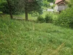 Ihre Liegenschaft mit soviel Wald! Errichten Sie hier Ihr Traumhaus!