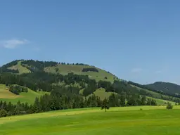 Stilvolles Penthouse in Sonnenlage (06868)