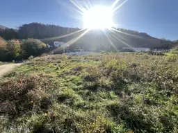 WEITBLICK &amp; FREITAUM - GROSSZÜGIGER BAUGRUND IN IDYLIISCHER WIENERWALDLAGE ZU KAUFEN!!