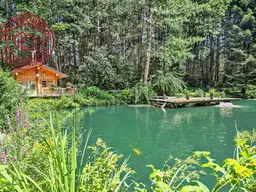 Petri Heil - Fischerparadies!Fischteiche mit romantischer Hütte und Steg