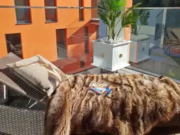 RIEDENBURG - fussläufig in die Altstadt!„Koffer packen und einziehen“