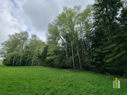Grünland mit angrenzendem Waldstück in sonniger Lage – Obertrum am Haunsberg