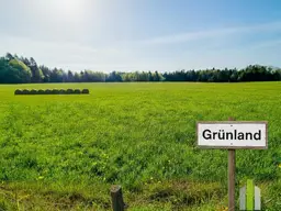 Agrar-Juwel am Haunsberg: Ebenes Grünland mit angrenzendem Waldstück