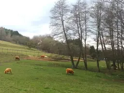 Reitsportgelände in Ruhelage