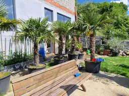 Vielseitiges Raumwunder an der Grenze - Modernes Wohnen und Arbeiten unter einem Dach