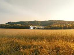 Baugrundstück *** Realisieren Sie Ihr Wohnbauprojekt *** Nähe Hainburg