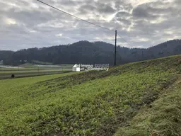 Über 1 ha Grund mit Bauland nahe Jennersdorf