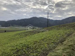 Über 1 ha Grund mit Bauland nahe Jennersdorf