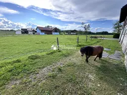 Das Glück der Erde liegt am Rücken der Pferde I Selbstversorger-Stall nahe Oberndorf - ca. 8.000qm I bis zu 5 Boxen I Koppel I 500 EUR Miete!