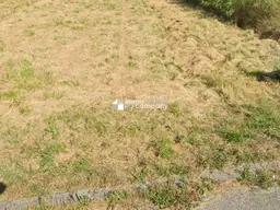 Eigenheimträume verwirklichen - Baugrund in Gols, Burgenland mit 1075m²