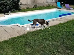 renovierungsbedürftiges Einfamilienhaus mit 6 Zimmern und Pool in Strasshof