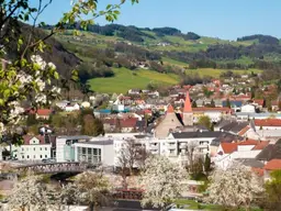 2-Zimmer Gartenwohnung mit Terrasse und einem Kachelofen - Koffer packen und einziehen!!!