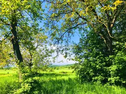 Baugrund 2 in Höhenlage am Naturschutzgebiet 