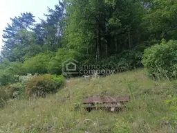 Jetzt investieren, später selbst nutzen - Vermietetes Landhaus in zentraler Lage von Gutenstein