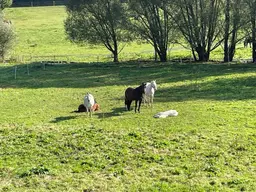 TRAUMHAFTER REITERHOF NAHE GFÖHL