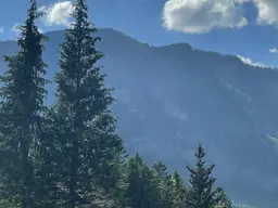 Baugrundstück am Sonnenhang in sonniger und ruhiger Lage