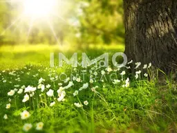 ***Preis-Hit****Schönes Grundstück mit Weitblick &amp; bestehendem Stromanschluss