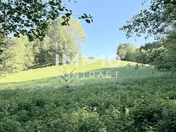 Erholung pur im eigenen Wald mit Bach und Wiesen nähe Amstetten