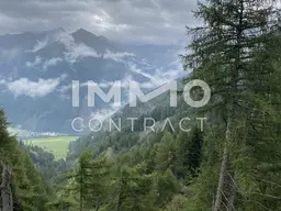 Waldparzellen am Fuße des Großglockners