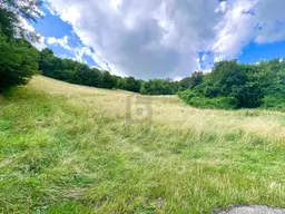 TRAUMHAFTES GRÜNLAND