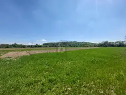 GRÜNLAND AN BAULANDGRENZE