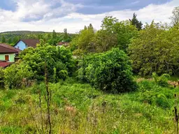 WEITBLICK INS GRÜNE - VON VILLA BIS ZWEI DOPPELHÄUSER MÖGLICH